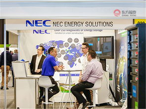 聚焦前沿，蓄勢(shì)未來(lái)——2019年悉尼國(guó)際電池儲(chǔ)能技術(shù)展與新興能源研發(fā)新趨勢(shì)